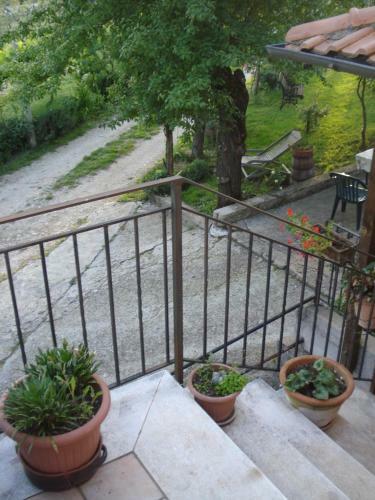 Agroturismo Agriturismo La Fattoria