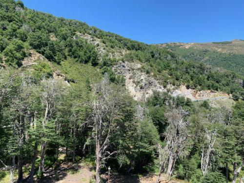 Apartamento Departamento Nevados De Chillan 3 Dormitorios