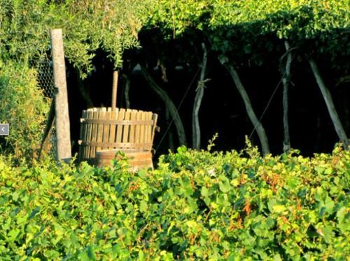 Posada Finca Garciarena