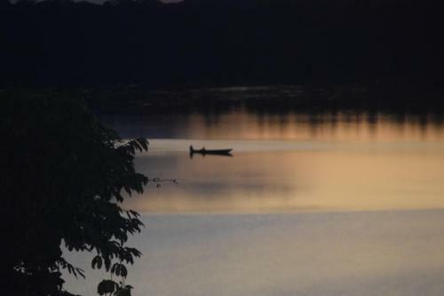Bed & Breakfast Green House Tambopata