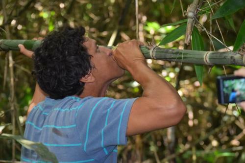 Bed & Breakfast Green House Tambopata