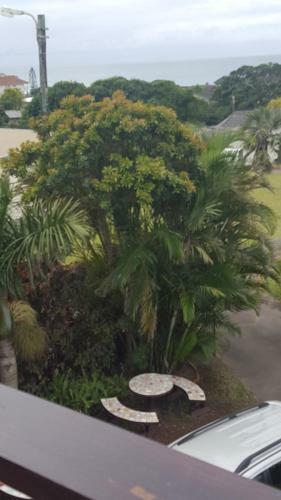 Shelly Beach Lodge