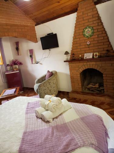 Hostal Pousada Recanto Da Natureza