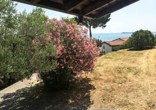 Sivino's Resort