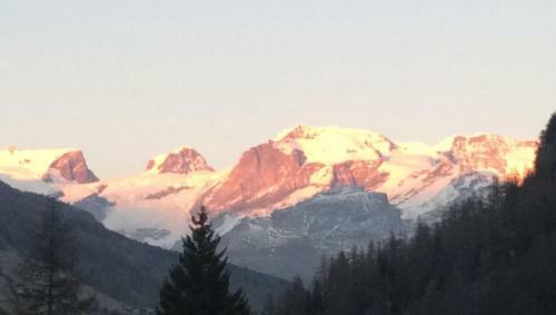 Aparthotel R.t.a. Hotel Monte Rosa