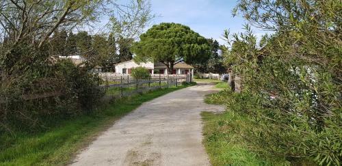 Apartamento Mas Des Cypres