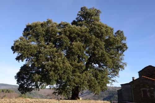 Bed & Breakfast La Vall�e De Ga�a