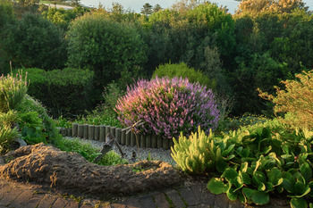 Bed & Breakfast Paradise Found