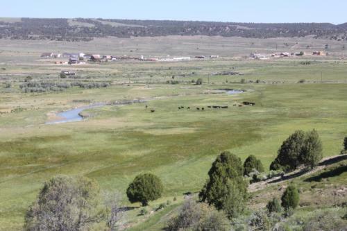 Sevier River Ranch & Cattle Company
