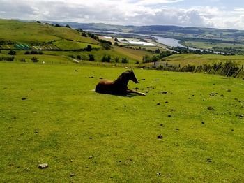 Agroturismo Northlees Farm