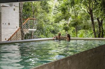 Aparthotel Akumal Chic At Lot 49