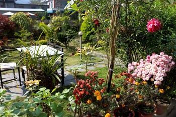 Hotel Orchid