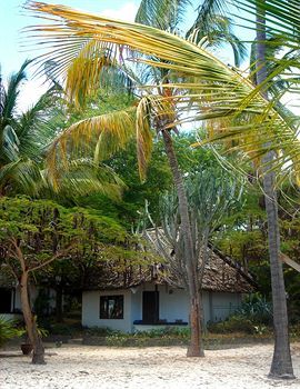 Hotel Driftwood Beach Club