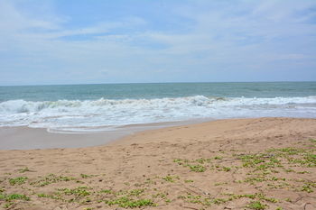 Hotel Nature Lanka Ayurveda Resort