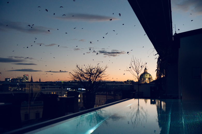 Hotel Grand Ferdinand