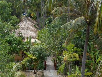 Hotel Thuy - Gunter Garden Bungalow