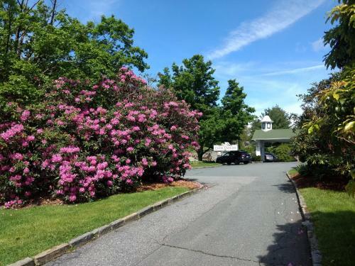 Hostal Green Park Inn