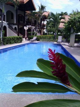 Aparthotel Apartotel Girasol