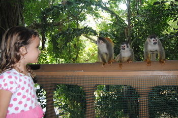 Jungle Beach Hotel Manuel Antonio