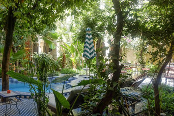 Riad Ryad Salama