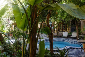 Riad Ryad Salama