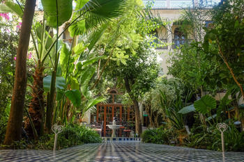 Riad Ryad Salama