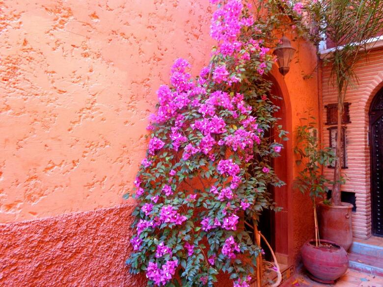 Riad Sesame