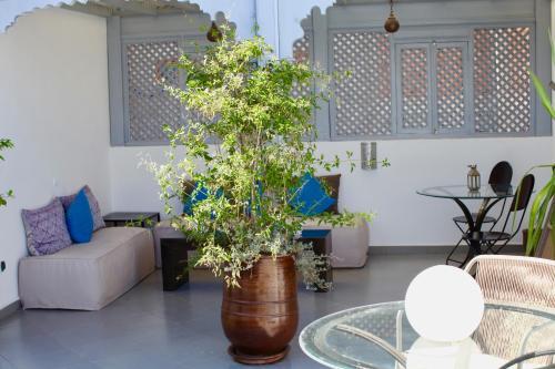 Riad L'arganier