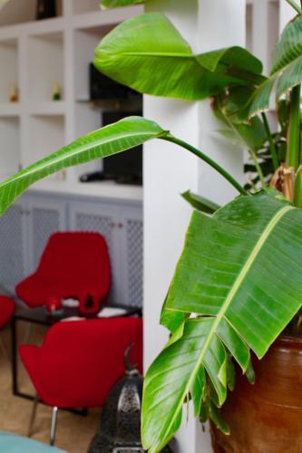 Riad L'arganier