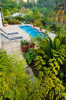 Bed & Breakfast Apple And Spice Guesthouse