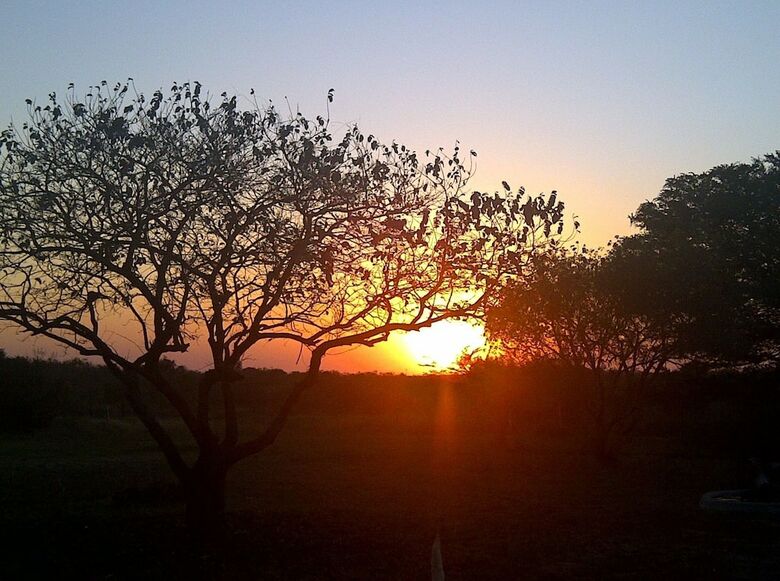 Posada Emdoneni Lodge With Cheetah Project