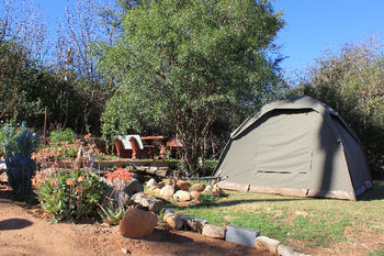 Lodge 96 - Hostel