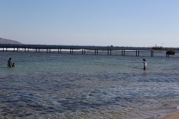 Hotel Sharm Club Resort
