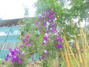 The Waterfall Villas