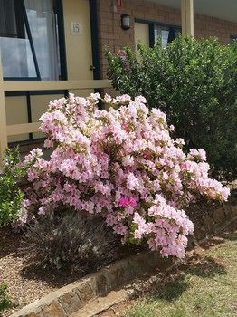 Motel Econo Lodge Hideaway Armidale