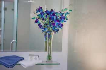 Aparthotel Grand Hotel Wyong