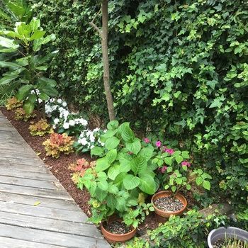 Bed & Breakfast Orewa Beachside