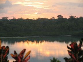 Hotel Tradewinds Villas
