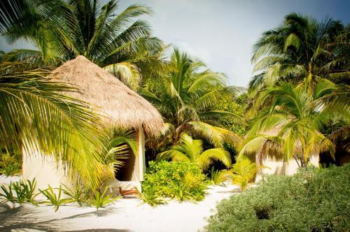 Hotel Glamping Xpu Ha