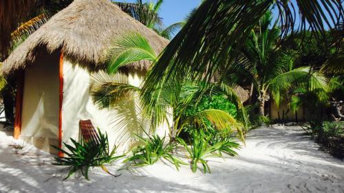Hotel Glamping Xpu Ha