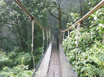 Posada Heliconias Lodge And Rainforest