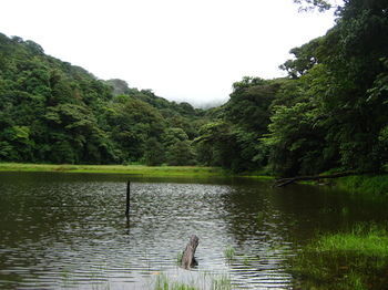Posada Heliconias Lodge And Rainforest