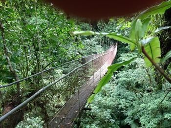 Posada Heliconias Lodge And Rainforest