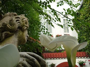 Apartamentos Embrujo De Azahar