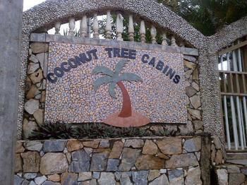Cabana Coconut Tree West Bay