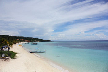 Cabana Coconut Tree West Bay