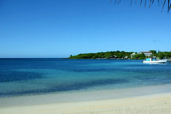 Cabana Coconut Tree West Bay