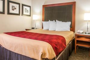 Hotel Econo Lodge