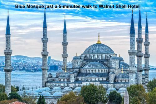 Walnut Shell Hotel