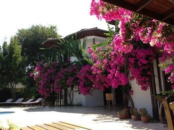 Bed & Breakfast Murat Pa?a Kona??